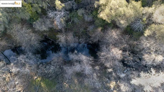 a view of a park with large trees