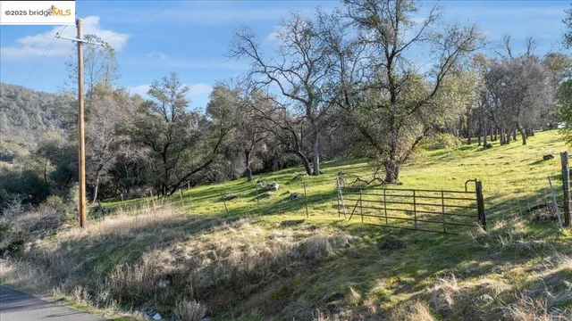 a view of yard with large trees