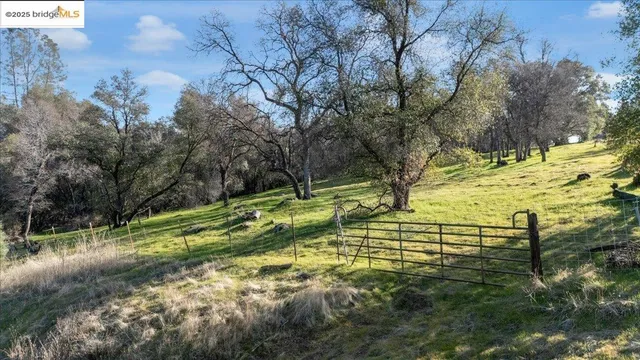 a view of a dry yard with green space