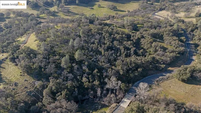 a view of a lake in a city