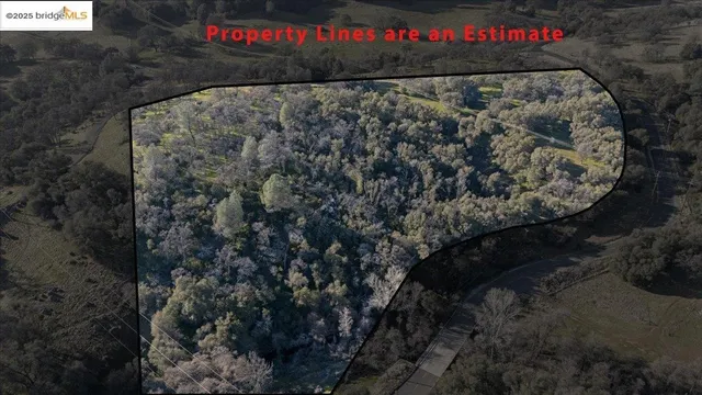 a view of a tree with a tree