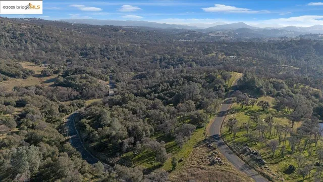 a view of a forest with a mountain