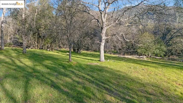 a big yard with lots of green space and trees