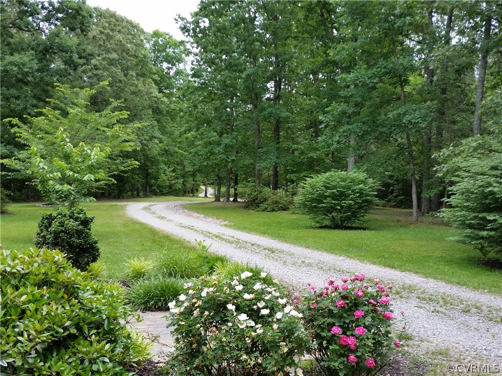 5818 Claiborne Road Sutherland, VA 23885 - Photo 7 of 43 Gallery Image 7