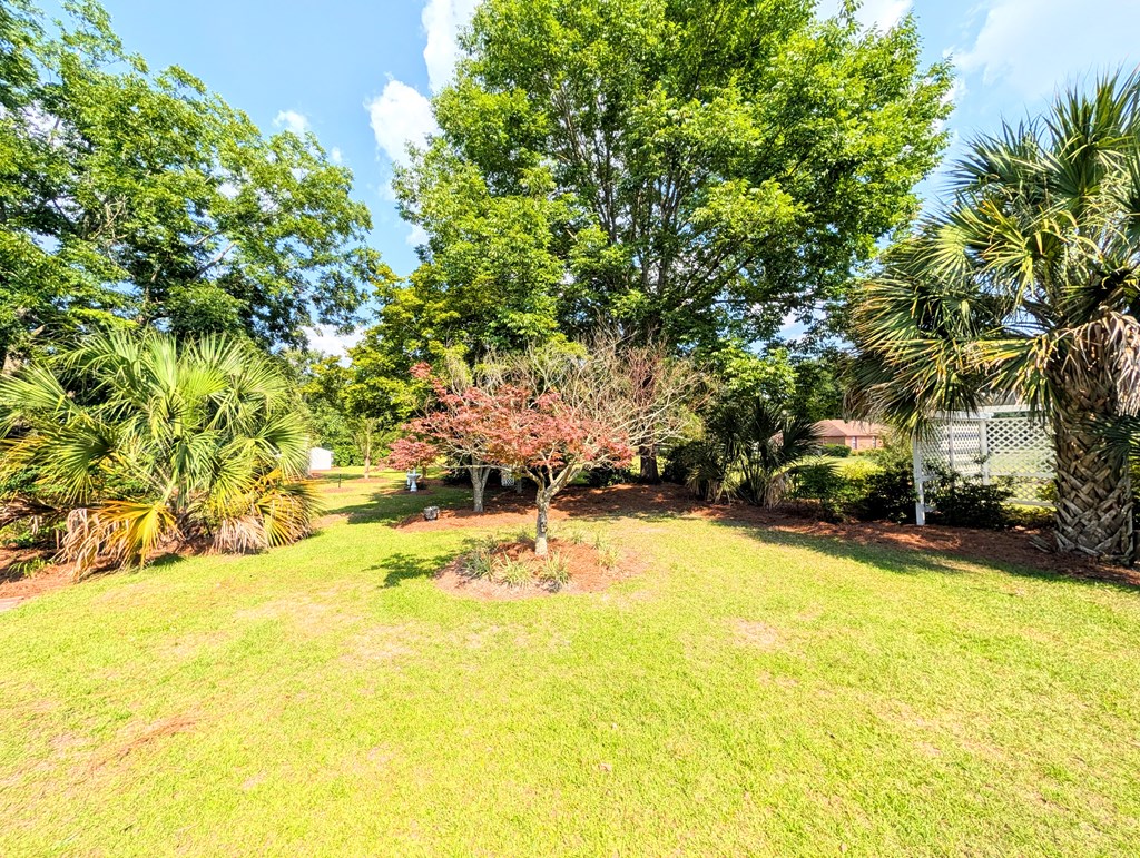3117 Holland Road Newton, AL 36352 - Photo 47 of 78