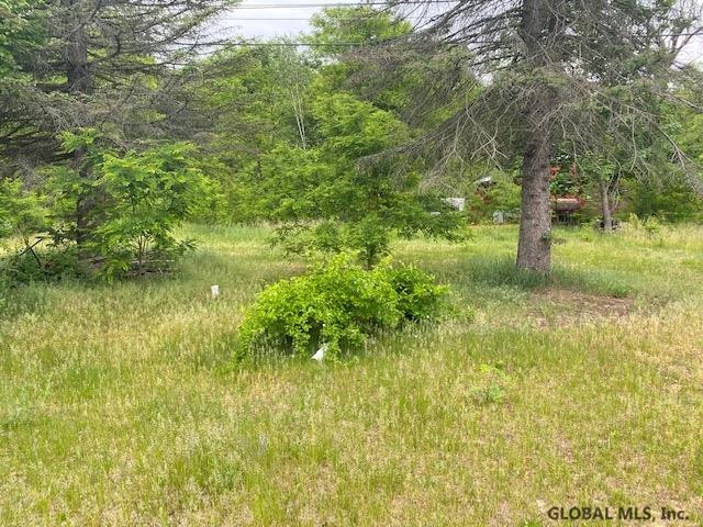 39 Rapp Road Albany, NY 12203 - Photo 6 of 11 Photo 6