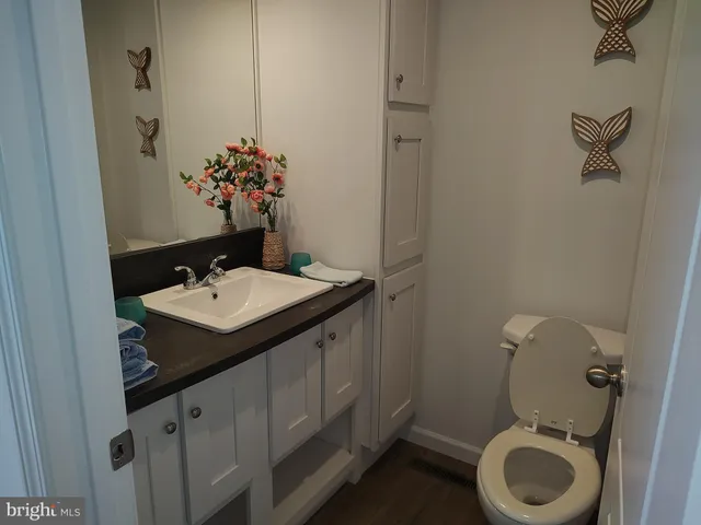 a bathroom with a sink toilet and vanity