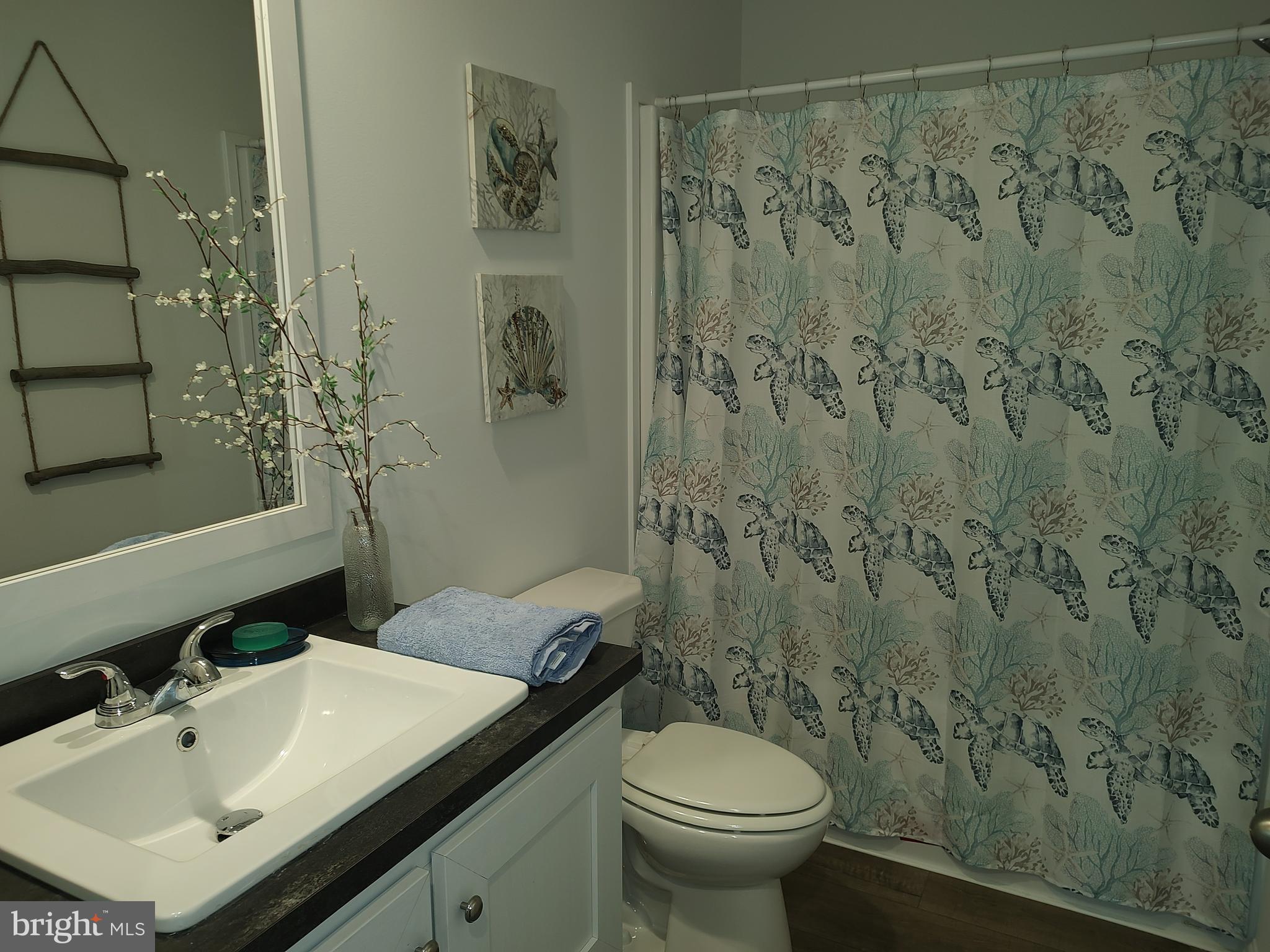 3 Nottingham Drive Lewes, DE 19958 - Photo 22 of 26 a bathroom with a sink and a mirror