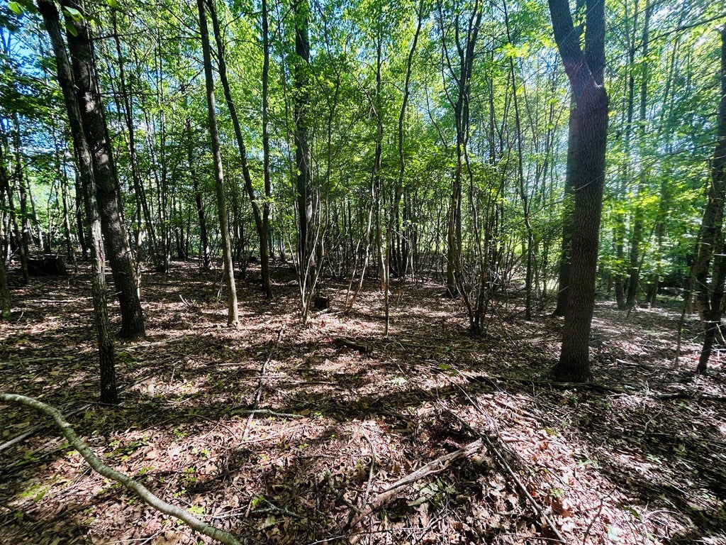 Tbd Pipers Gap Road Galax, VA 24333 - Photo 18 of 21 Gallery Image 18