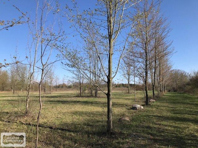 0 Atwell Road Emmett, MI 48022 - Photo 1 of 6