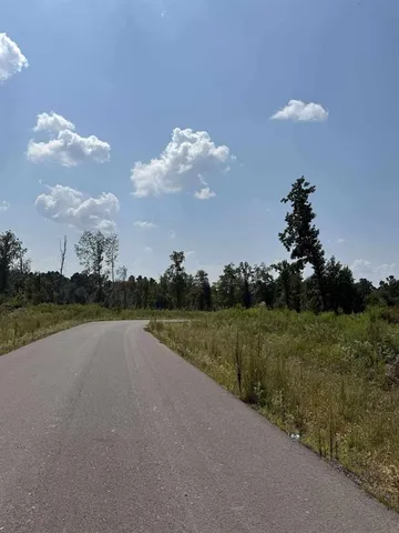 a view of a lake with a yard