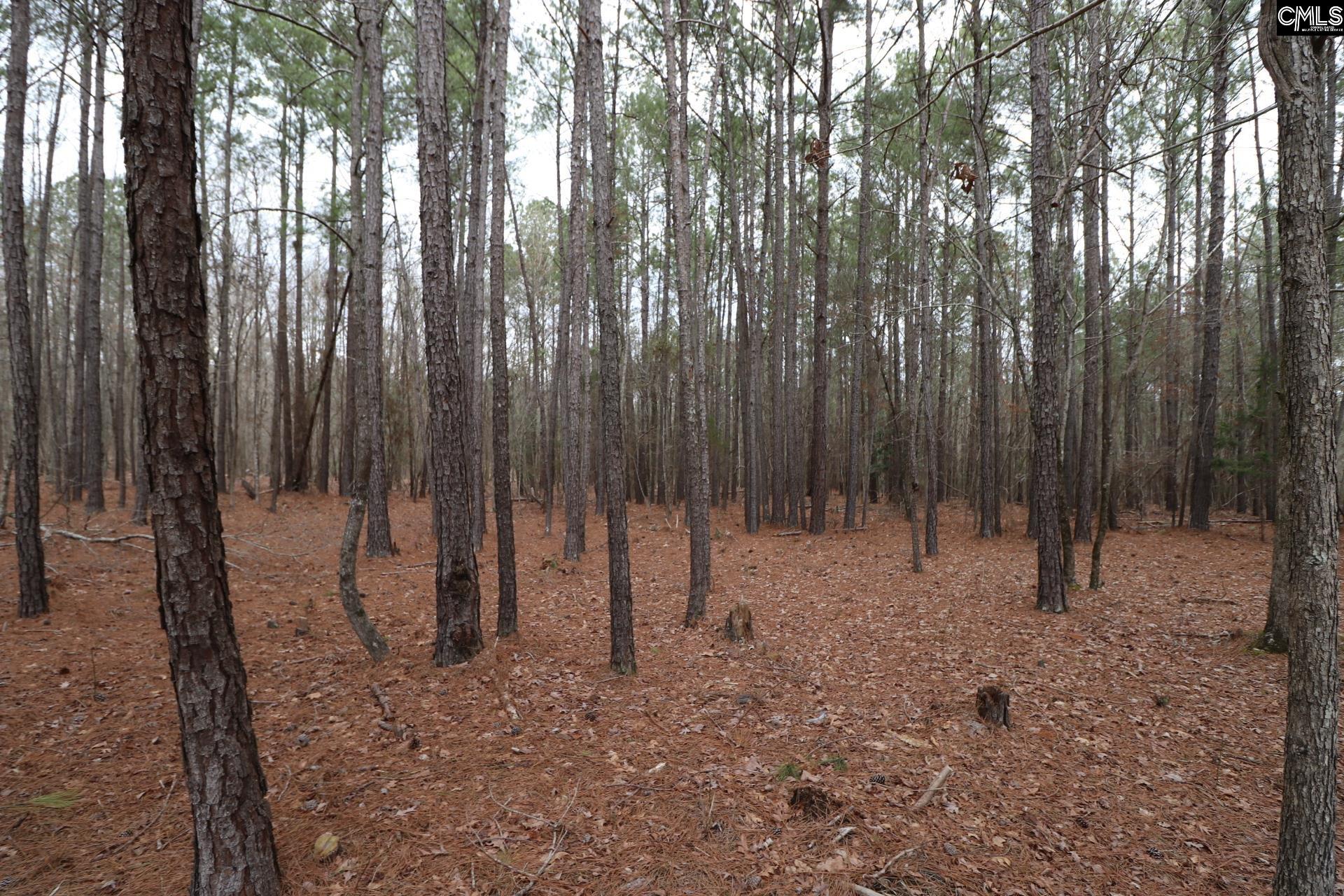Lot 229 Granny Hill Road Prosperity, SC 29127 - Photo 48 of 61