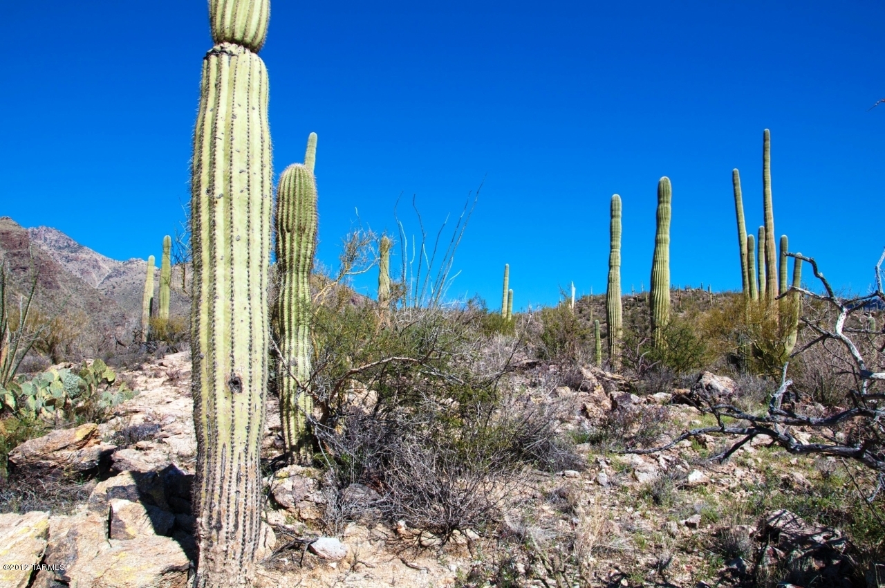 6444 North Rattlesnake Canyon Road, Unit 6 Tucson, AZ 85750 - Photo 16 of 20