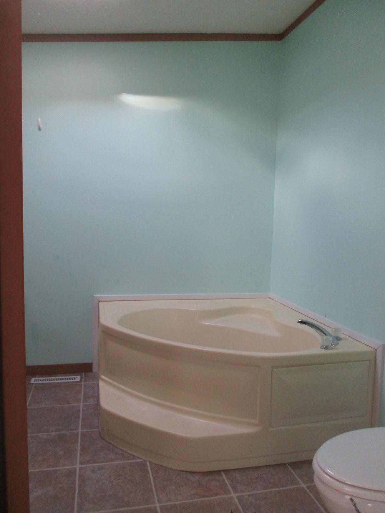 430 Barry Street Colon, MI 49040 - Photo 8 of 9 master bath