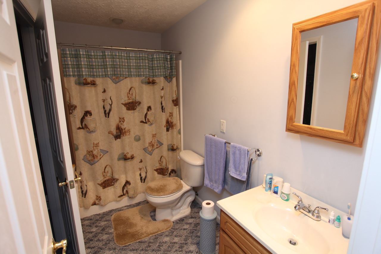 207 Catherine's Rdg Road Scottsville, KY 42164 - Photo 8 of 15 Gallery Image 8