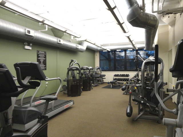 2323 West Pershing Road, Unit 128 Chicago, IL 60609 - Photo 7 of 7 a view of a room with gym equipment