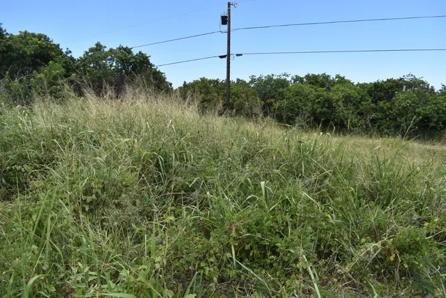a view of a lake from a yard