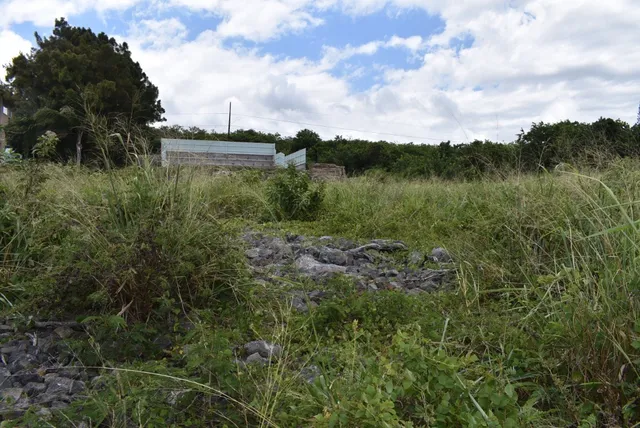 a view of a lake with a yard