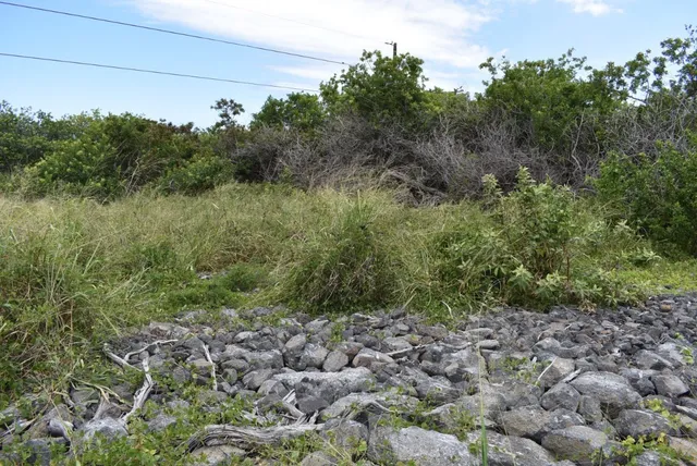 a view of a lake with a yard