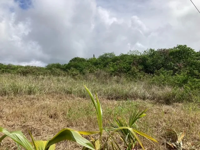 $57,500 | 94-6374 Lot 24 Pele Street, Naalehu, HI 96772