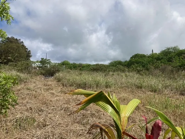 $57,500 | 94-6374 Lot 24 Pele Street, Naalehu, HI 96772