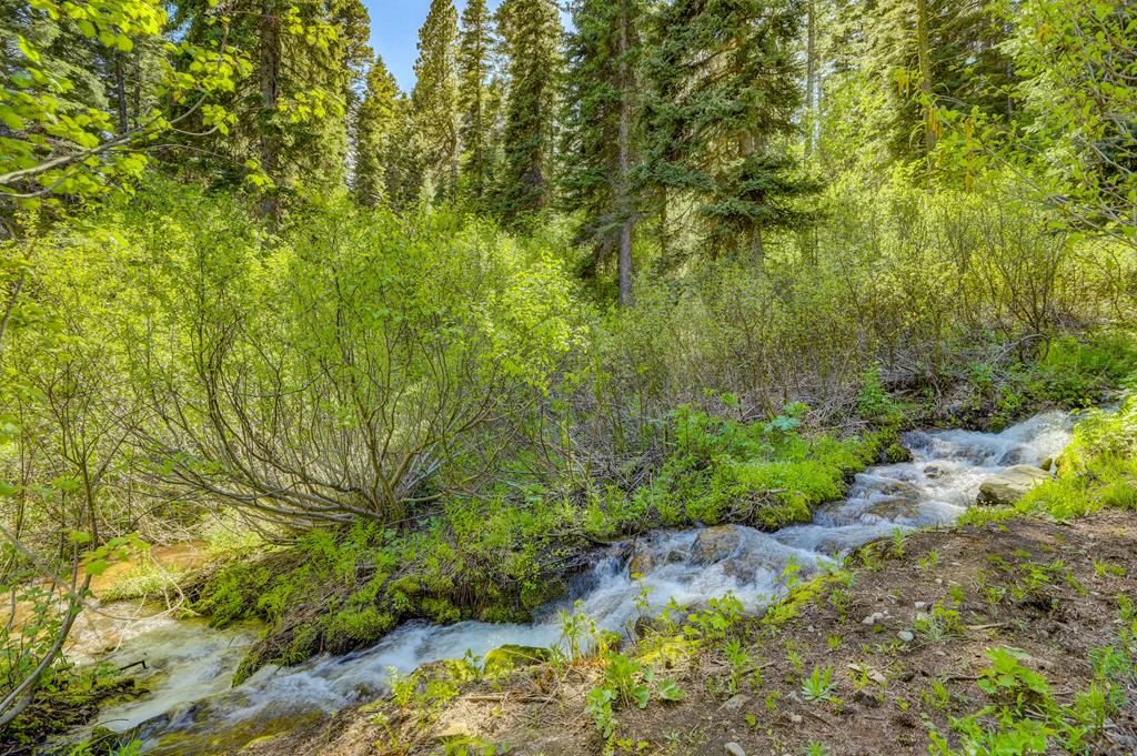 Tbd Tbd Road Donnelly, ID 83615 - Photo 14 of 35