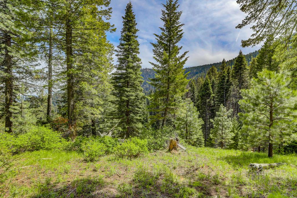 Tbd Tbd Road Donnelly, ID 83615 - Photo 15 of 35