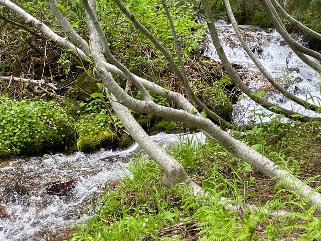 Tbd Tbd Road Donnelly, ID 83615 - Photo 17 of 35