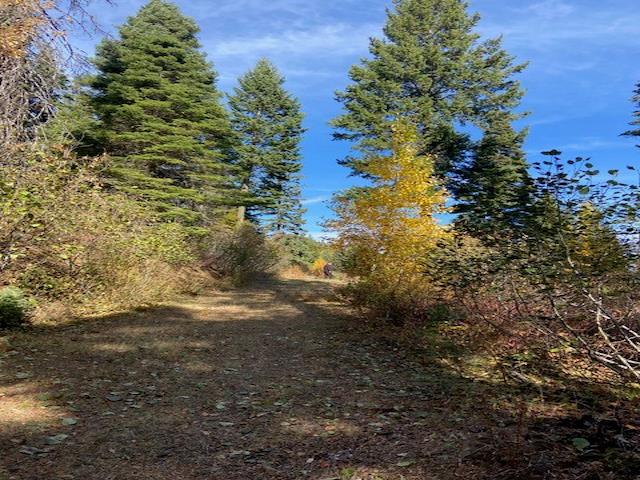 Tbd Tbd Road Donnelly, ID 83615 - Photo 19 of 35