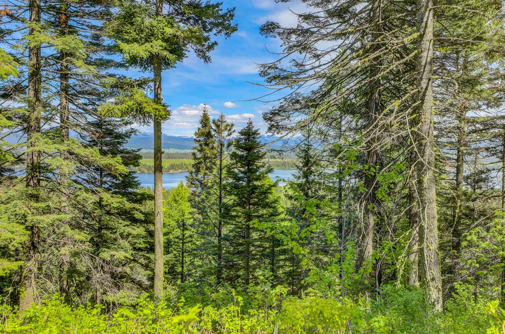 Tbd Tbd Road Donnelly, ID 83615 - Photo 20 of 35