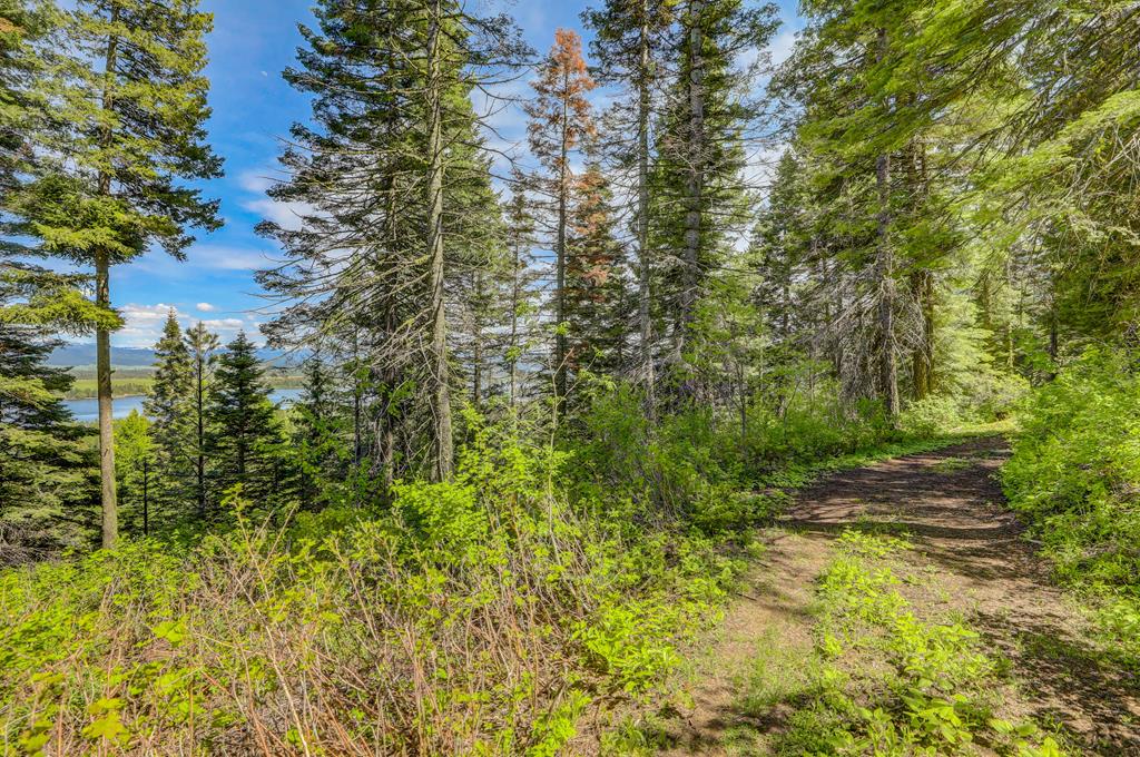 Tbd Tbd Road Donnelly, ID 83615 - Photo 21 of 35