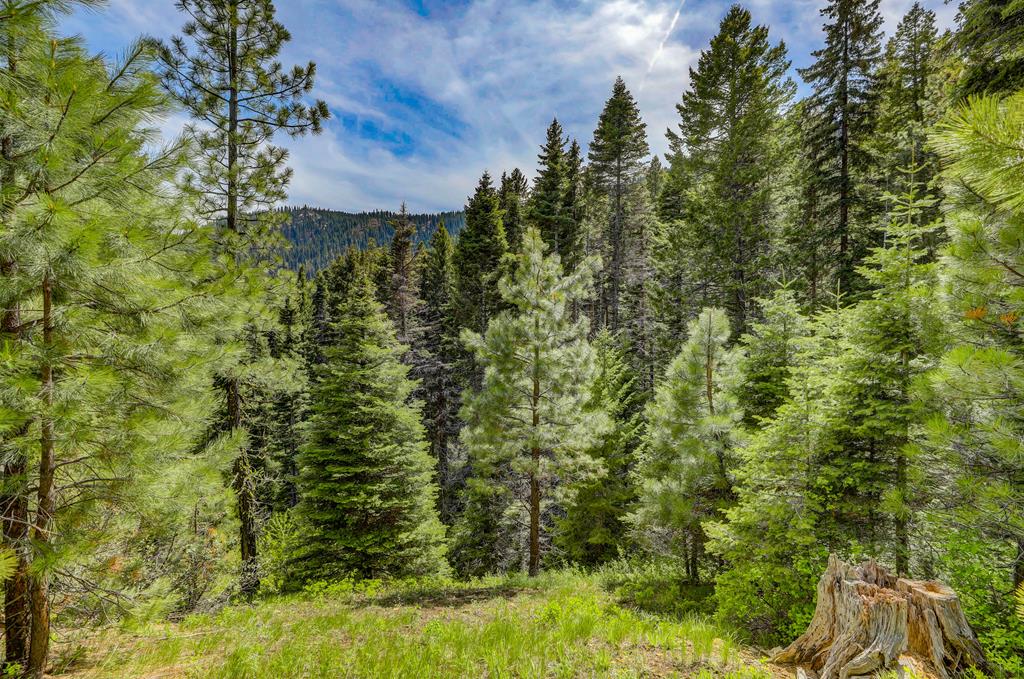 Tbd Tbd Road Donnelly, ID 83615 - Photo 23 of 35