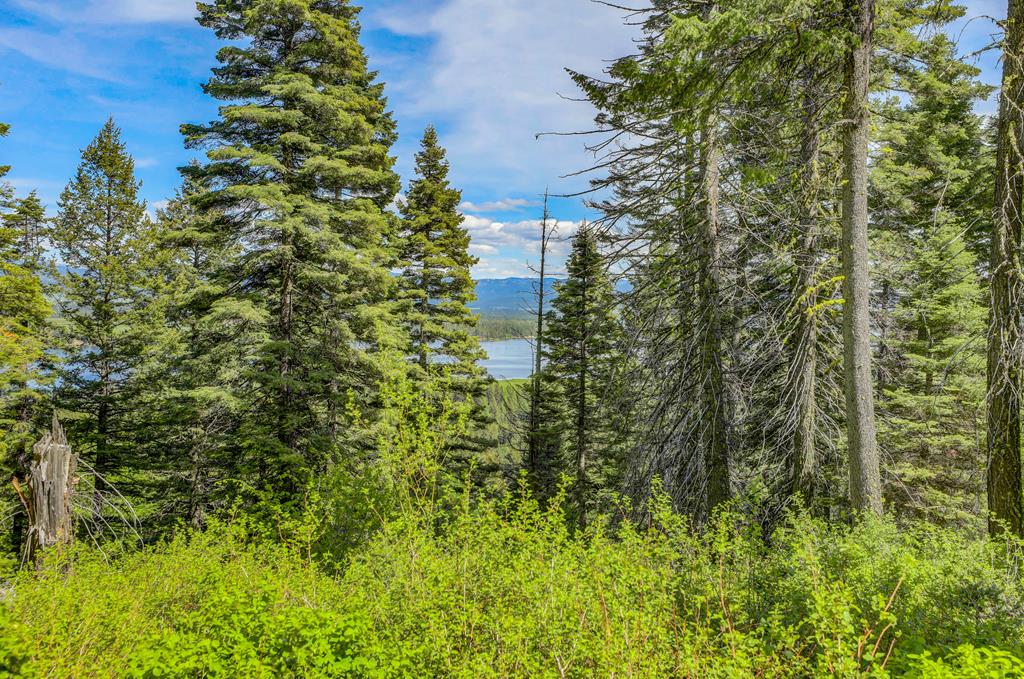 Tbd Tbd Road Donnelly, ID 83615 - Photo 25 of 35