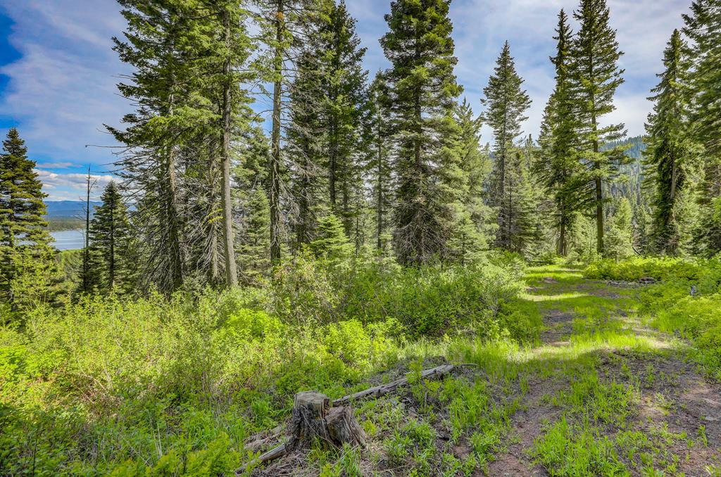 Tbd Tbd Road Donnelly, ID 83615 - Photo 26 of 35