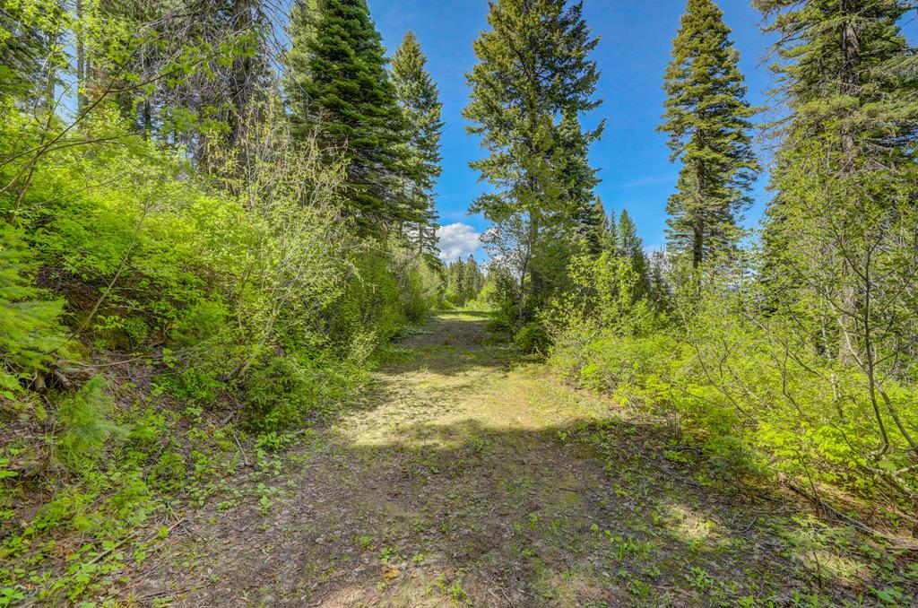 Tbd Tbd Road Donnelly, ID 83615 - Photo 28 of 35