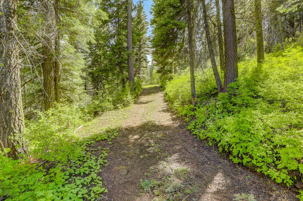 Tbd Tbd Road Donnelly, ID 83615 - Photo 30 of 35