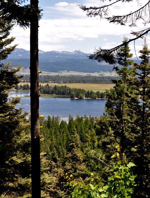 Tbd Tbd Road Donnelly, ID 83615 - Photo 3 of 35