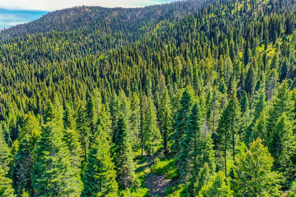 Tbd Tbd Road Donnelly, ID 83615 - Photo 31 of 35