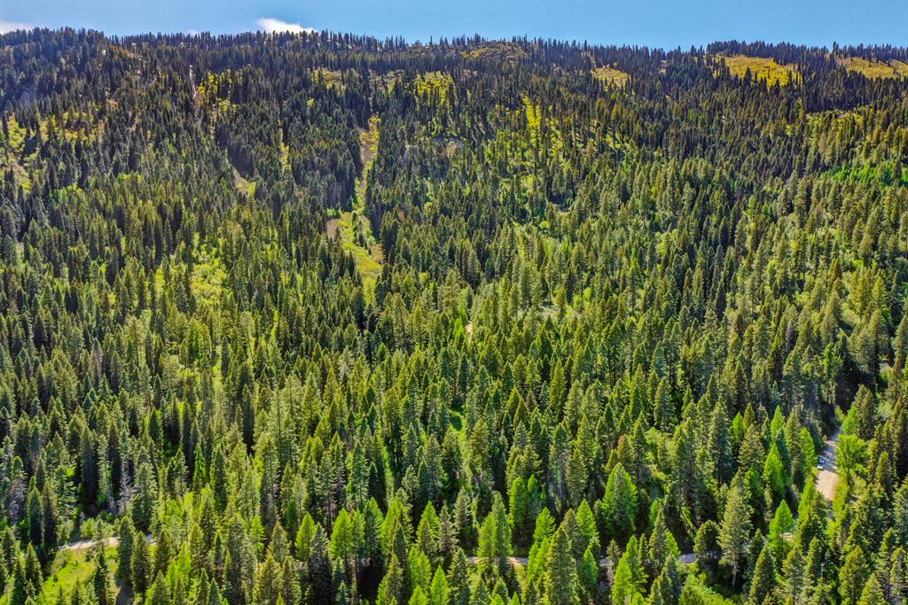 Tbd Tbd Road Donnelly, ID 83615 - Photo 33 of 35