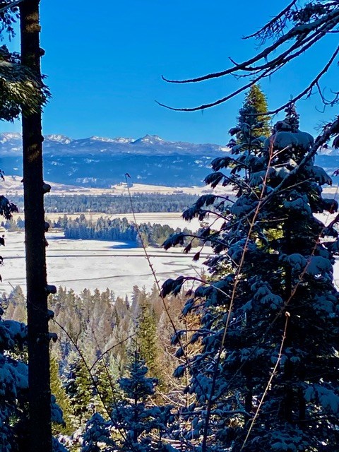 Tbd Tbd Road Donnelly, ID 83615 - Photo 34 of 35