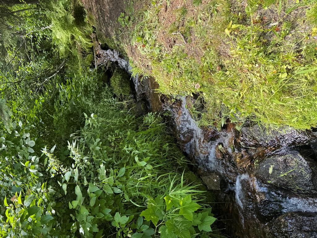 Tbd Tbd Road Donnelly, ID 83615 - Photo 35 of 35