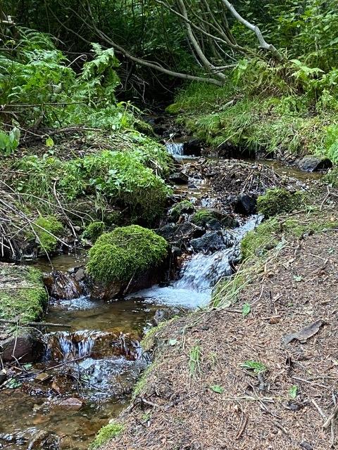 Tbd Tbd Road Donnelly, ID 83615 - Photo 6 of 35