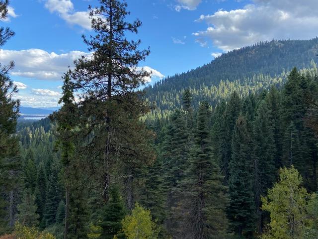 Tbd Tbd Road Donnelly, ID 83615 - Photo 7 of 35