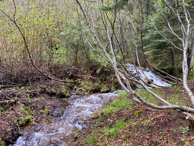 Tbd Tbd Road Donnelly, ID 83615 - Photo 8 of 35
