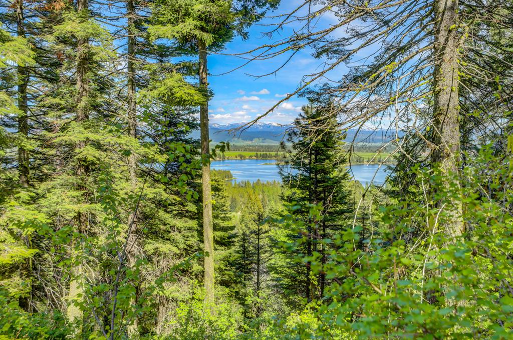 Tbd Tbd Road Donnelly, ID 83615 - Photo 9 of 35