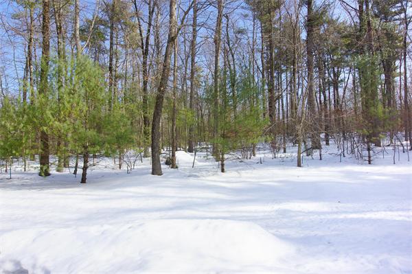 233 Green Road Bolton, MA 01740 - Photo 24 of 30