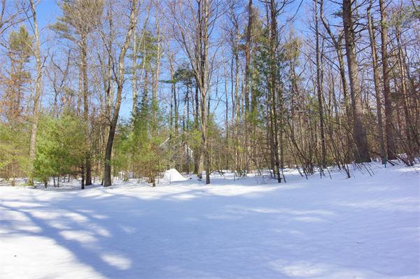 233 Green Road Bolton, MA 01740 - Photo 27 of 30