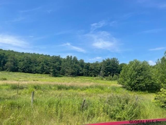 152 Olneys Road Petersburgh, NY 12138 - Photo 8 of 26 Photo 8