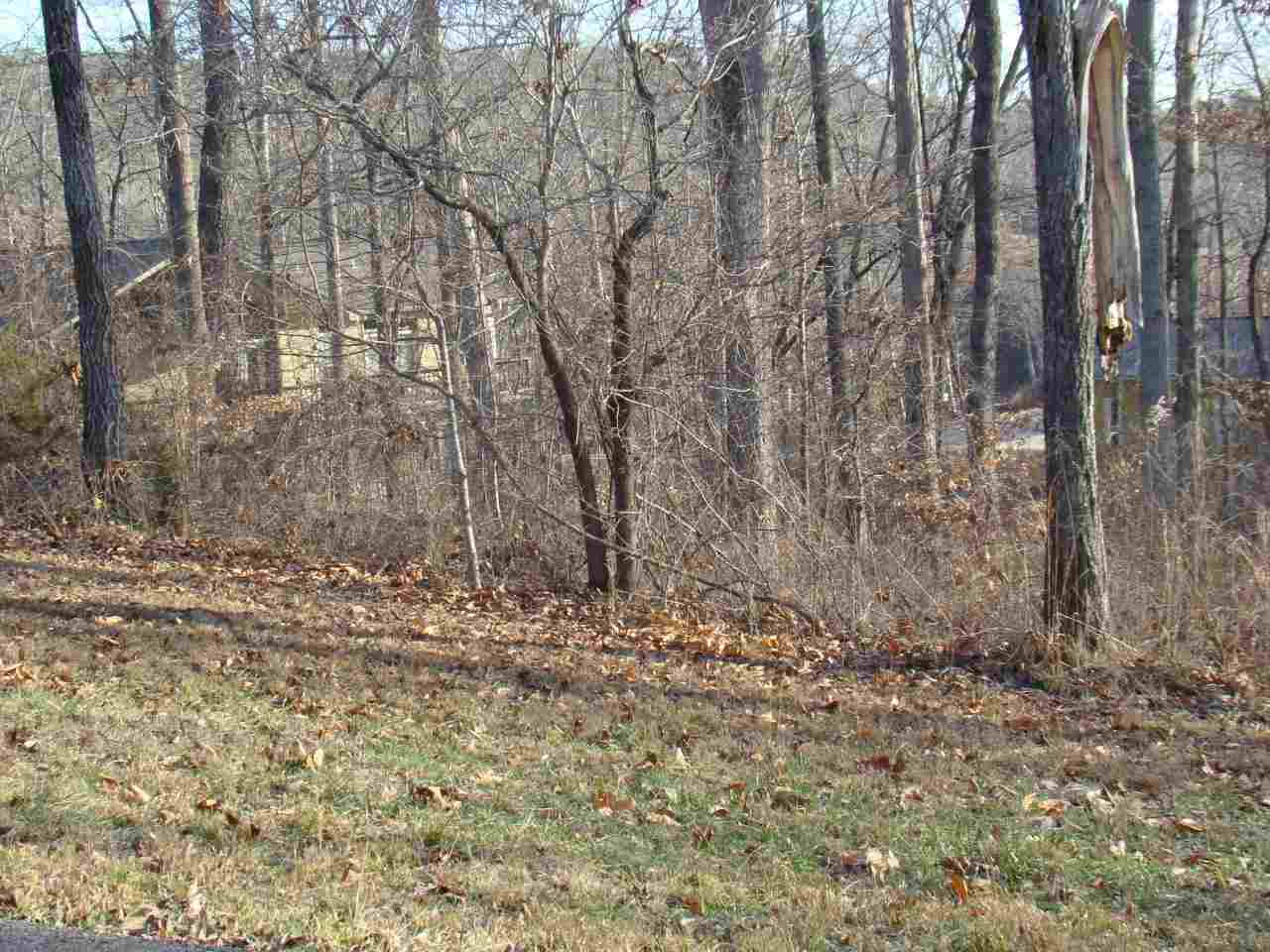 6 Clearwater Ridge Savannah, TN 38372 - Photo 8 of 12 Gallery Image 8