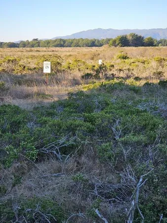 $50,000 | 0 Rose Avenue, Half Moon Bay, CA 94019